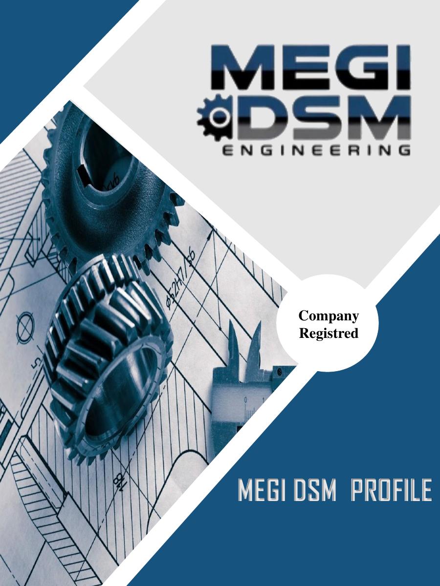 MEGI DSM company profile cover